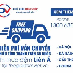 Chính sách Vận Chuyển Đi Tỉnh Với Giá 0 Đồng tại Thế Giới Đệm Việt