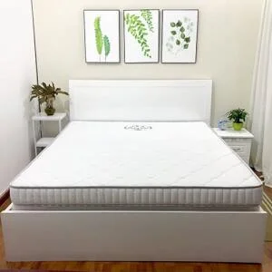 Top 5 Mẫu Nệm Kim Cương Giá Rẻ Mới Nhất Tại Hà Nội
