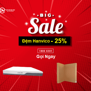 Xuân Tri Ân - Tết Đắc Lộc