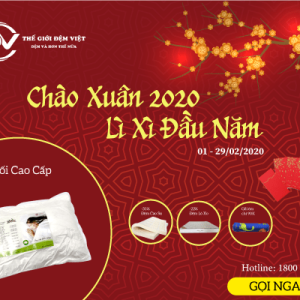 CHÀO XUÂN 2020 - LÌ XÌ ĐẦU NĂM
