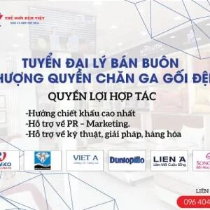 HỆ THỐNG THẾ GIỚI ĐỆM VIỆT TUYỂN ĐẠI LÝ