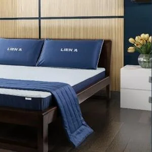 Bảng Giá Nệm Cao Su Liên Á Khuyến Mãi Giá Rẻ Mới Nhất 2020