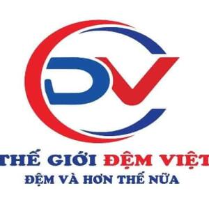 Giới Thiệu Về Thế Giới Đệm Việt