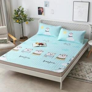 TOP 3 Chiếu Cao Su Non Êm ÁI - AN TOÀN CHO DA