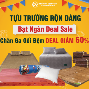 TỰU TRƯỜNG RỘN DÀNG - BẠT NGÀN DEAL SALE