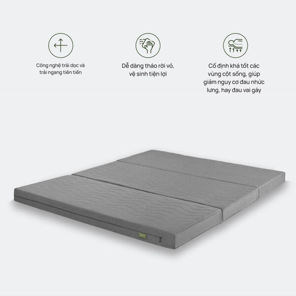 anh-sp-co-icon-dem-bong-ep-everon-600x0