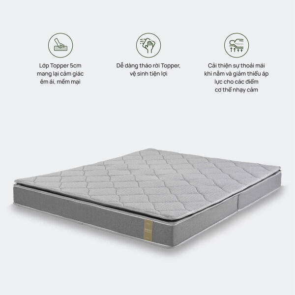 anh-sp-co-icon-dem-bong-ep-top-plus-600x0