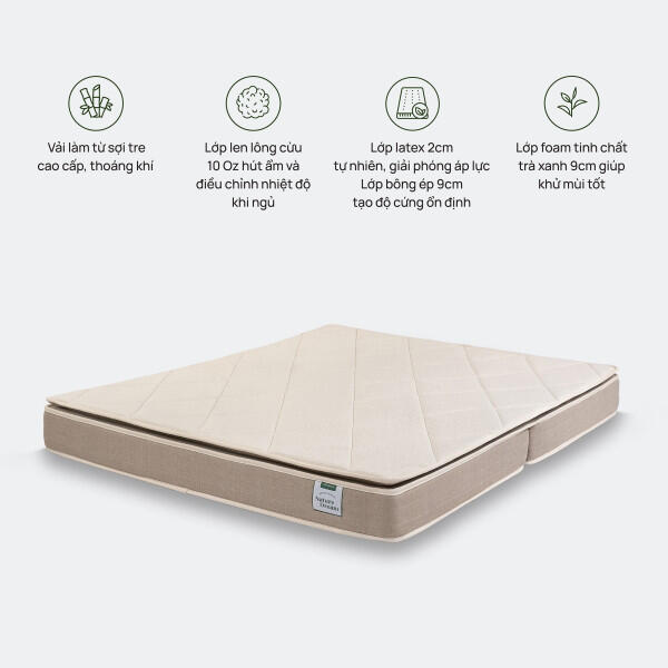 anh-sp-co-icon-nature-dream-support-600x0