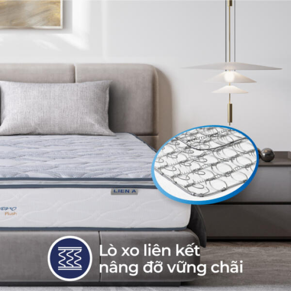 cassaroplush-sub-thumn-1-1