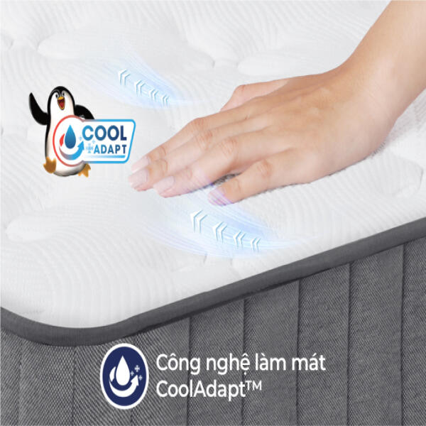 cocoongrey-sub-thumn-2-1
