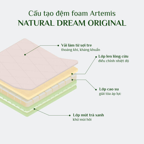 mo-ta-lop-dem-foam-artemis-01-600x0