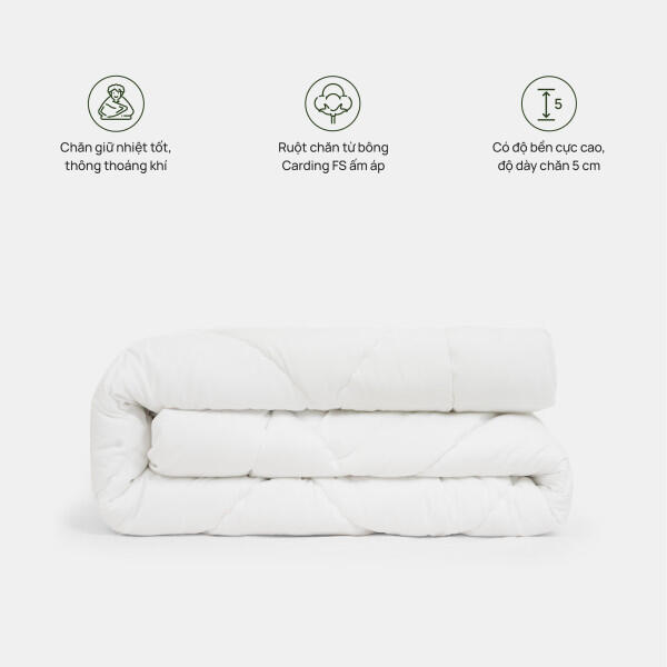 ruot-chan-co-icon-chan-high-600x0