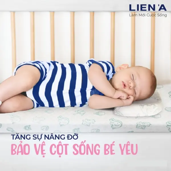 vn-11134207-7r98o-ltz1xlcvy2oh42-01