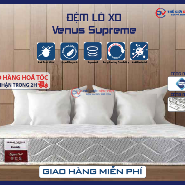 nem-lo-xo-dunlopillo-lo-xo-venus-01