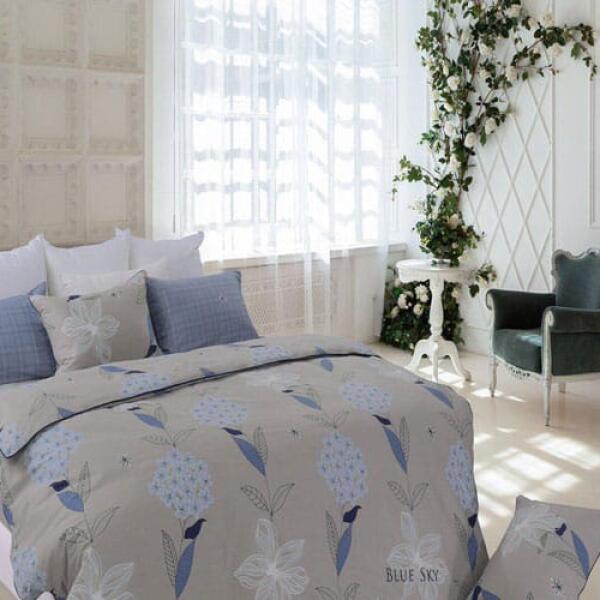 Bo-chan-ga-goi-Blue-Sky-DA5-uu-dai-lon-2