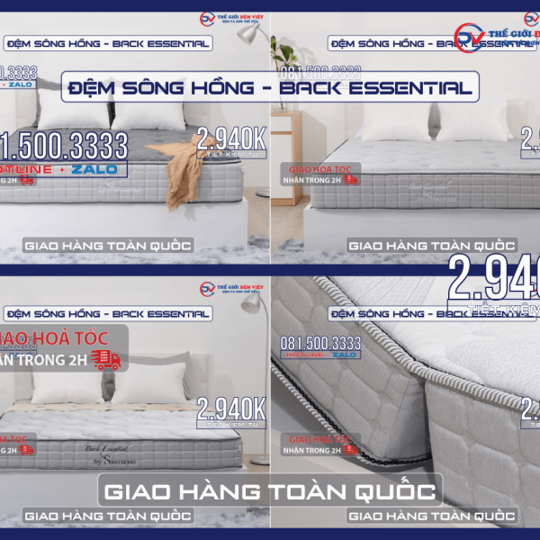 dem-song-hong-back-essential-09