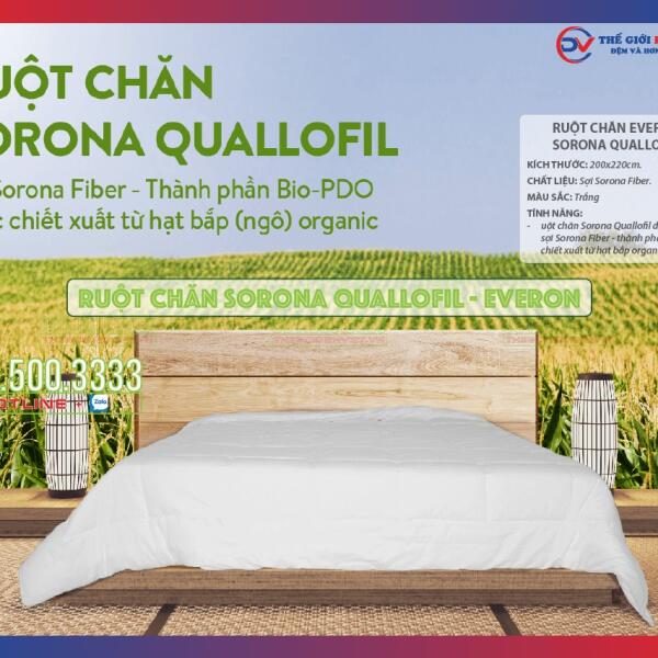 ruot-chan-sorona-quallofil-everon-01