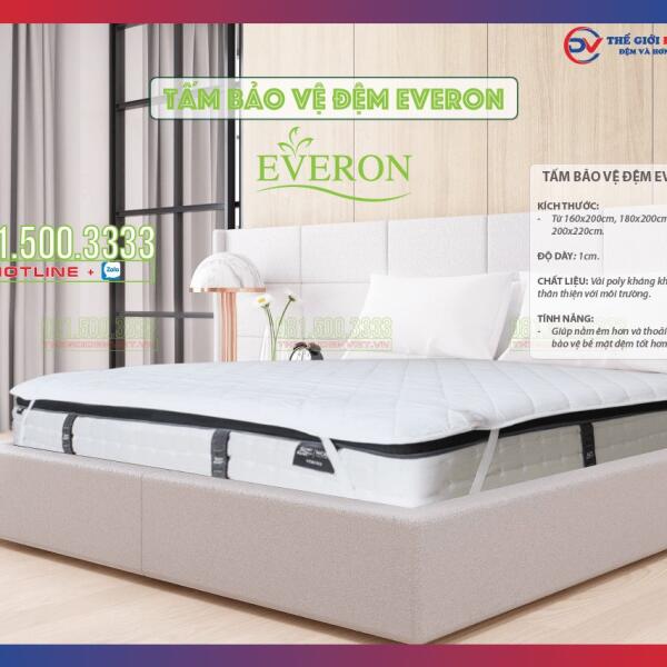 tam-bao-ve-dem-everon-01