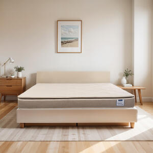 dem-gentle-dream-600x0