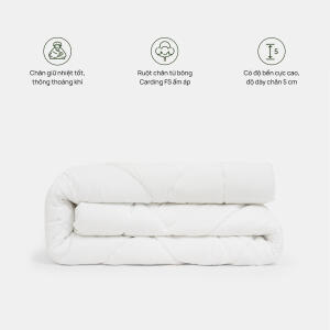 ruot-chan-co-icon-chan-high-600x0