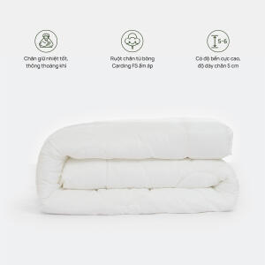 ruot-chan-co-icon-chan-micro-600x0