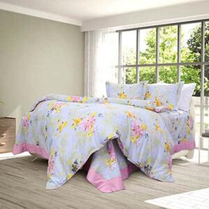 Bo-chan-ga-goi-hanvico-golden-dream-GI-M24