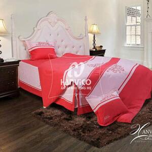 Bo-chan-ga-goi-hanvico-golden-dream-GT-4-1