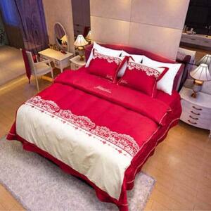 Bo-chan-ga-goi-hanvico-golden-dream-GTM-14-1