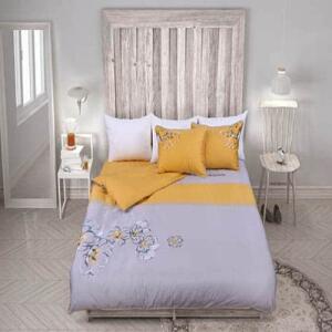 Bo-chan-ga-goi-hanvico-my-youth-MY-T1-1