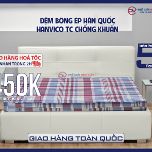 dem-bong-ep-han-quoc-hanvico-tc-chong-khuan-01