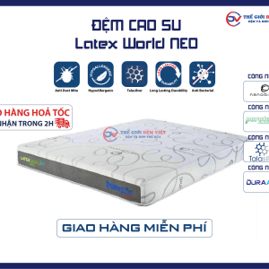 dem-cao-su-dunlopillo-latex-neo-01