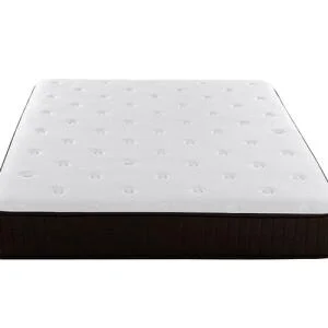 cocoon-firm-2