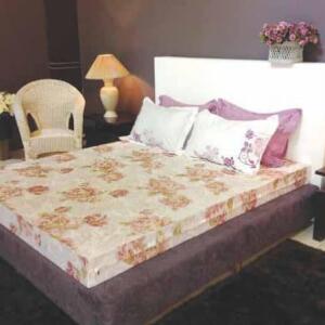 dem-bong-ep-canada-wind-e1538963844147