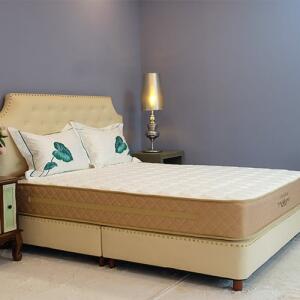 dem-lo-xo-canada-wind-godofredo