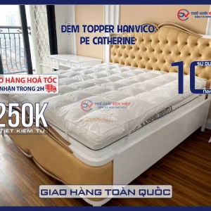 dem-topper-pe-catherine-hanvico-09