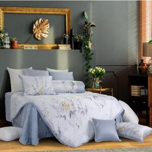 Bo-ga-phu-Blue-Sky-HV55-chiet-khau-cao-1