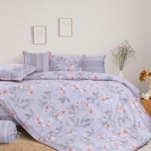 Bo-chan-ga-goi-Blue-Sky-DL168-uu-dai-hap-dan-1