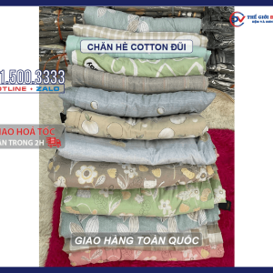 chan-he-cotton-dui-01