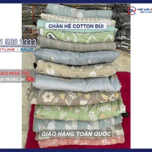 chan-he-cotton-dui-01