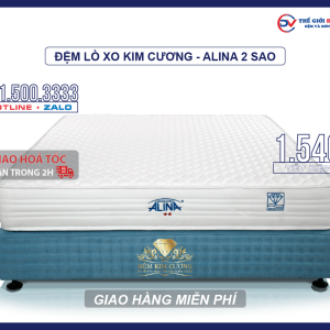 dem-lo-xo-kim-cuong-alina-2-sao-01-1