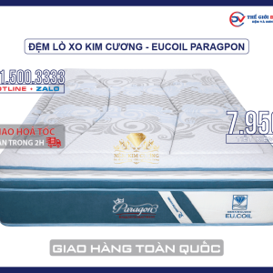 dem-lo-xo-kim-cuong-eucoil-paragon-01