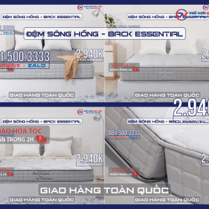 dem-song-hong-back-essential-09