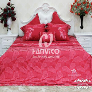 bo-chan-ga-goi-hanvico-royal-award-ra-20-01