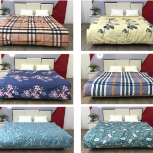 chan-phao-thegioidemviet