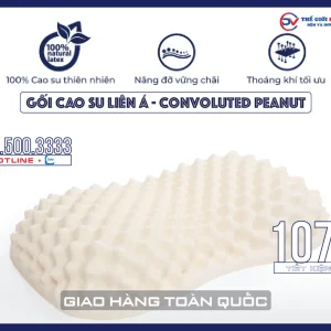 goi-cao-su-lien-a-convoluted-peanut-01