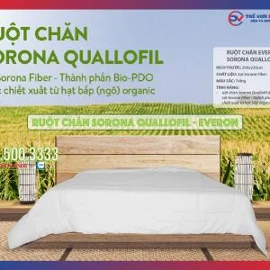 ruot-chan-sorona-quallofil-everon-01