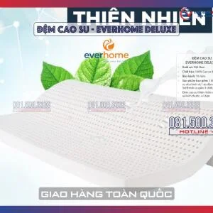 dem-cao-su-everhome-deluxe-01