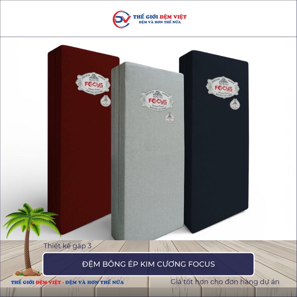 Đệm bông ép Kim Cương Focus 2-1