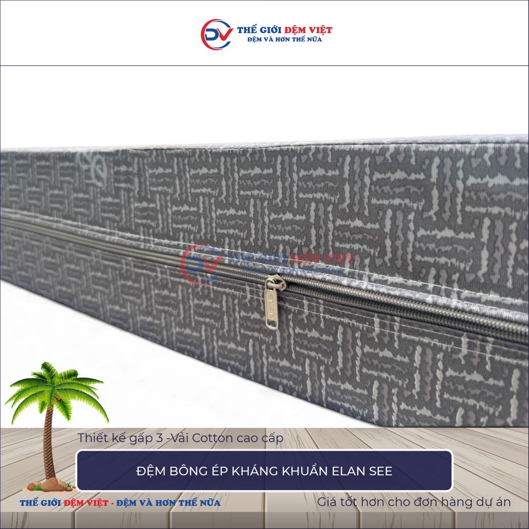 Đệm bông ép kháng khuẩn Elan See