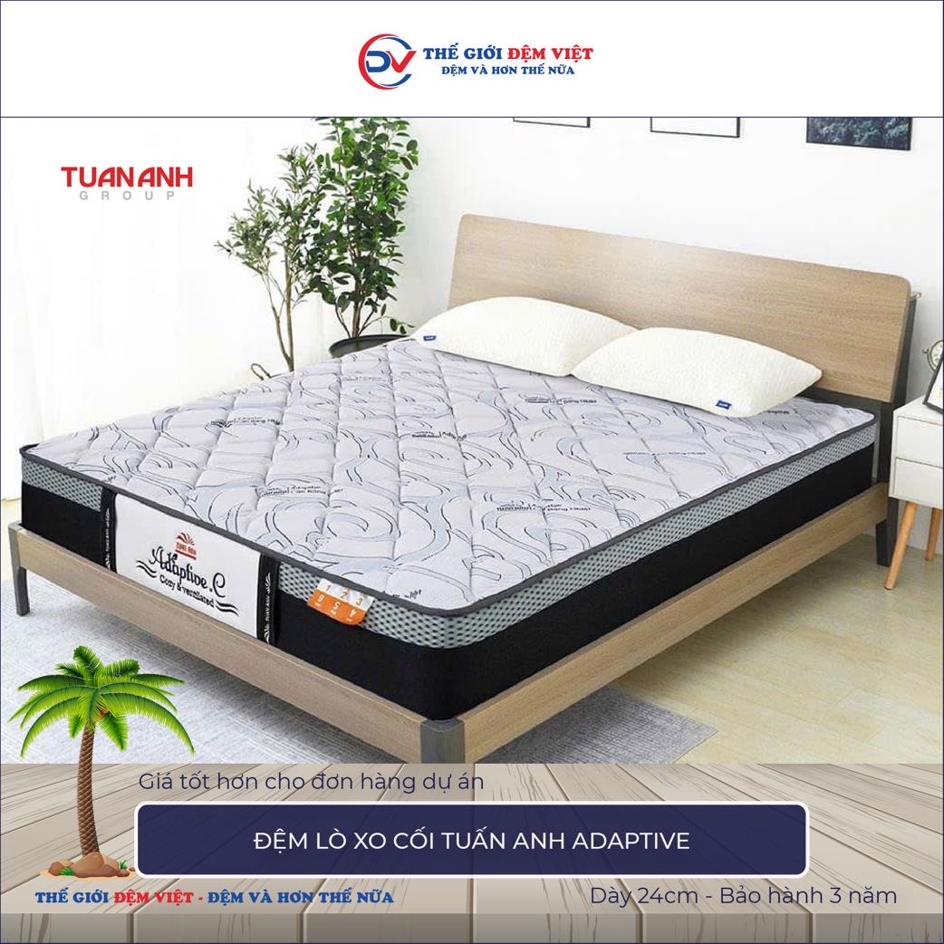 Đệm lò xo cối Tuấn Anh Adaptive-2